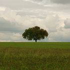 Autumn in Nuremberg