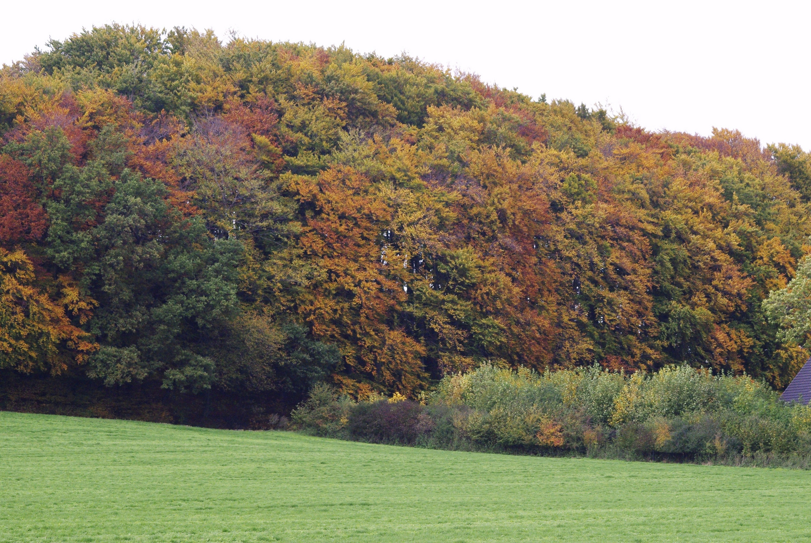 Autumn in Obernbeck