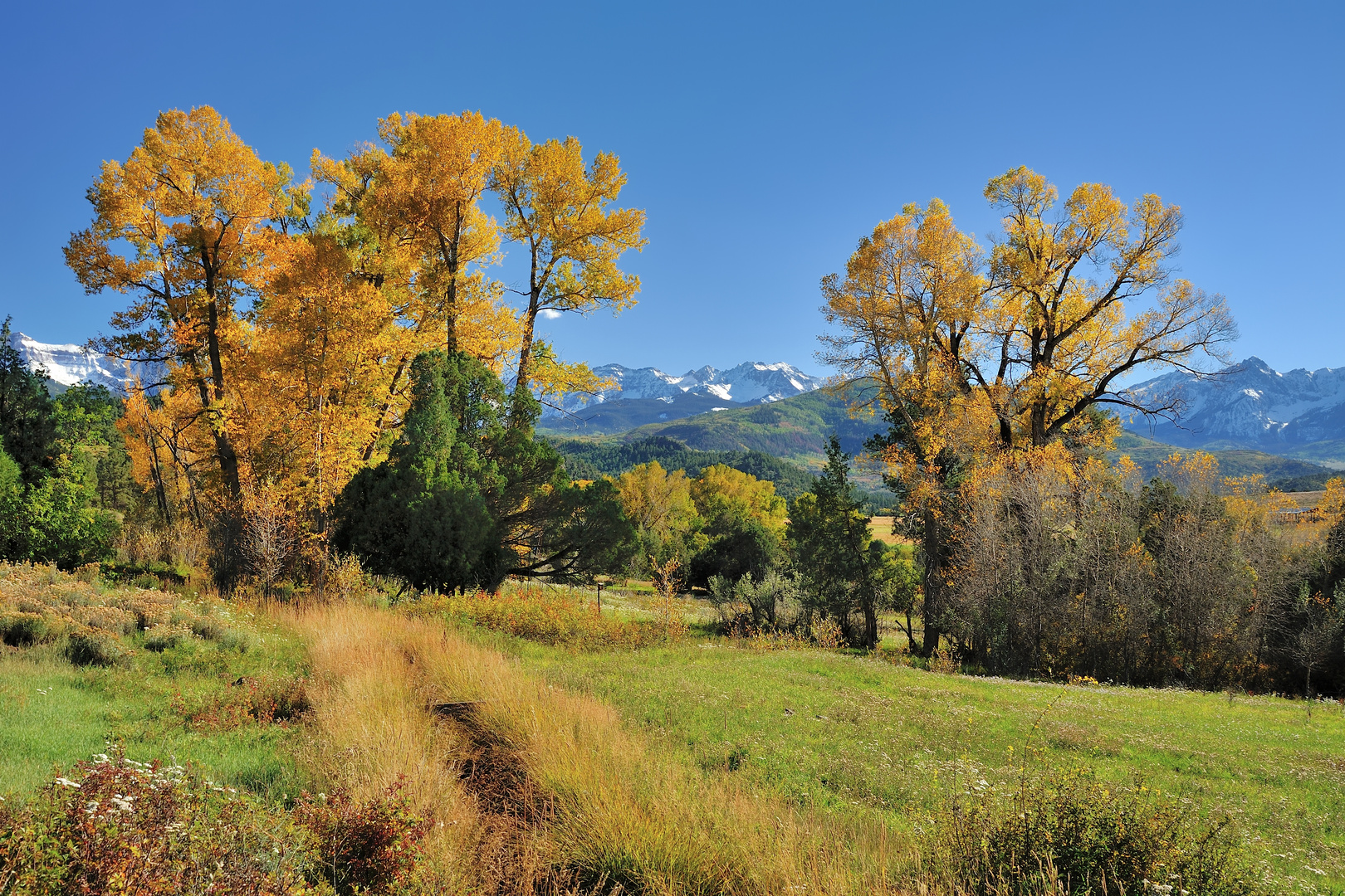 *Autumn in Oray County*