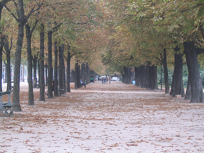 Autumn in Paris