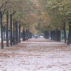 Autumn in Paris