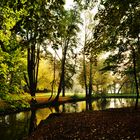 Autumn in park