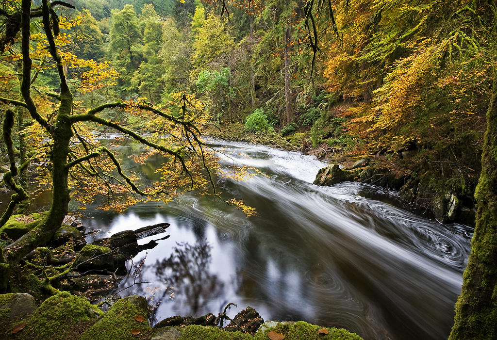 Autumn in Perthshire