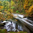 Autumn in Perthshire