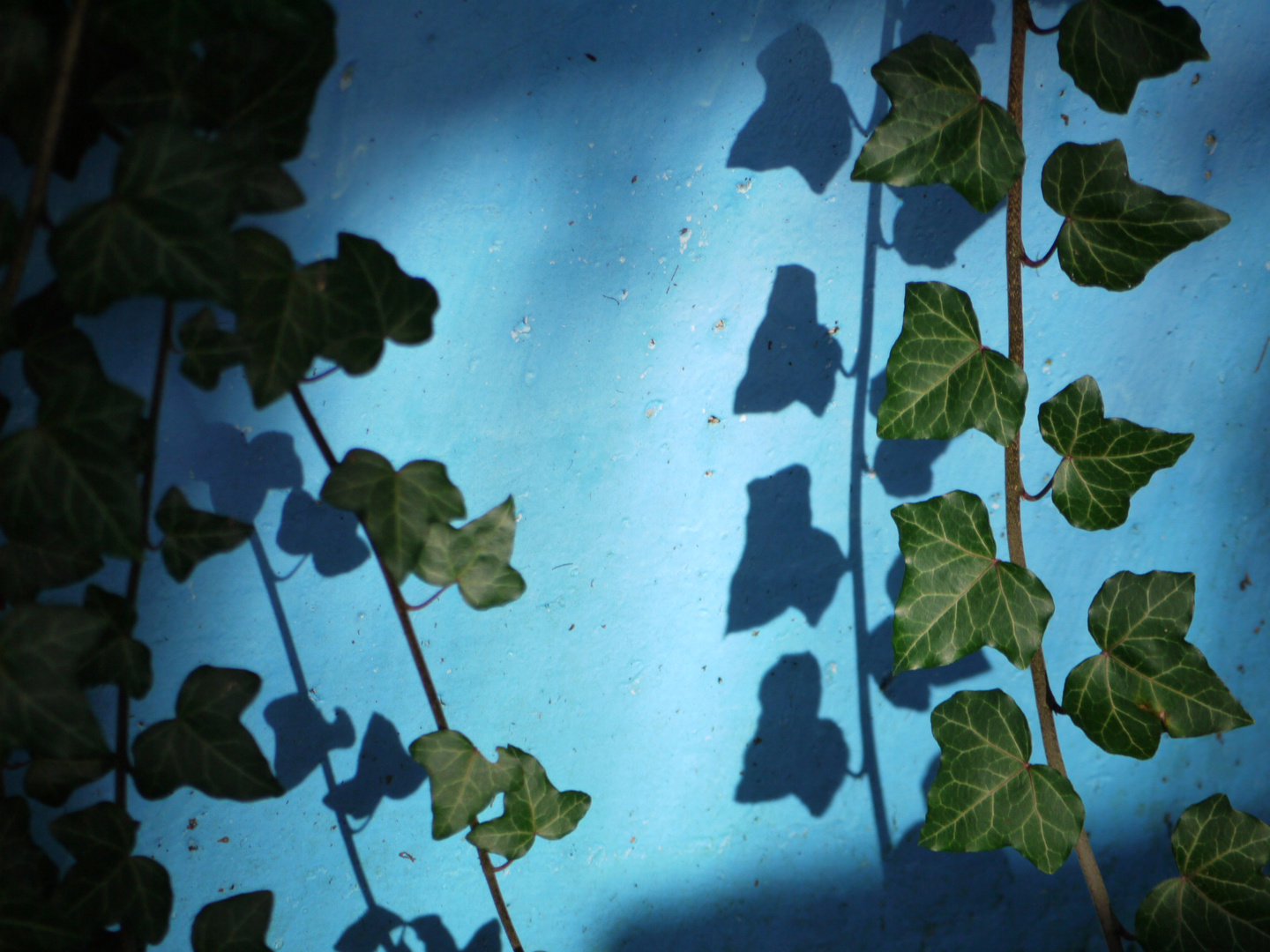 Autumn in pool