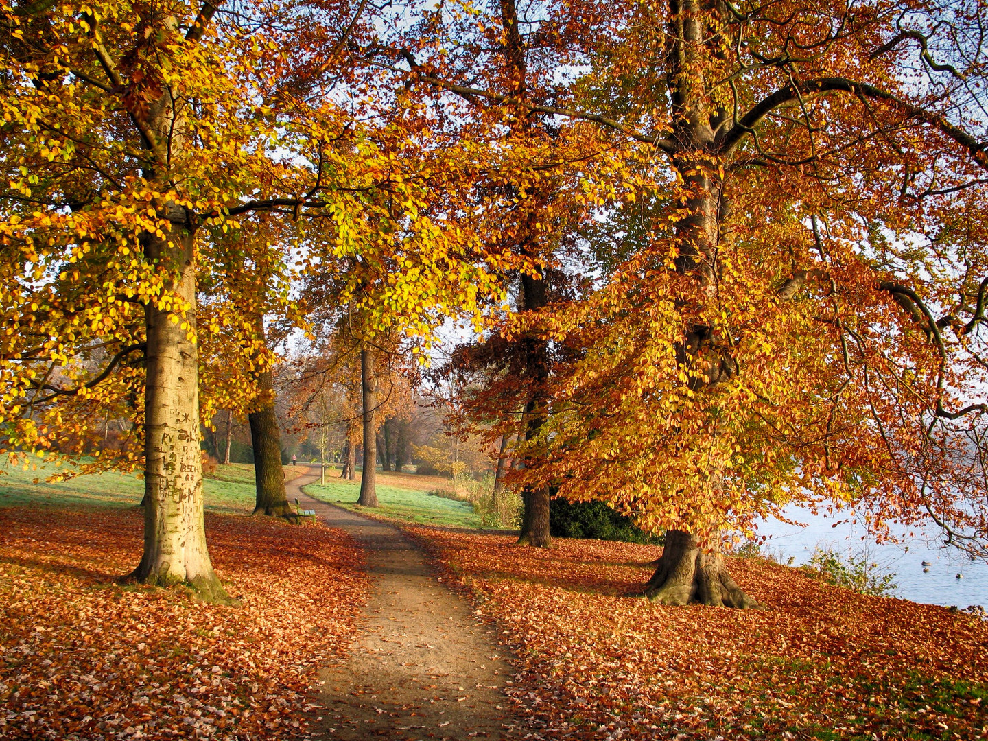 Autumn in Potsdam