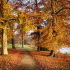 Autumn in Potsdam