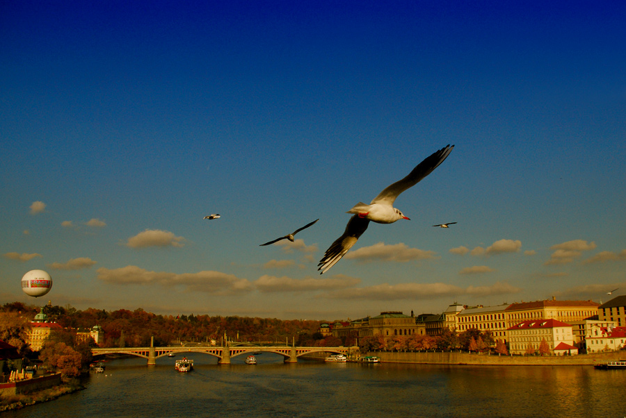 Autumn in Prague