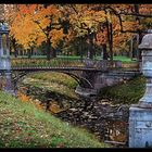 Autumn in Pushkin