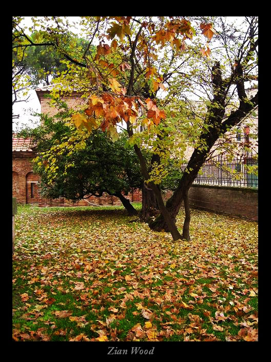 Autumn in Ravenna