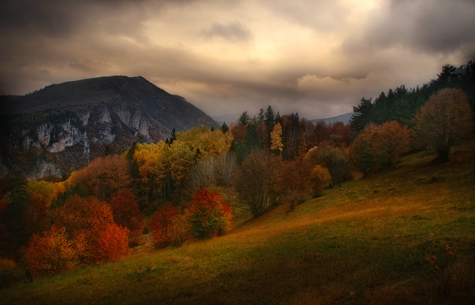 Autumn in Rodopi Mountain