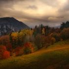 Autumn in Rodopi Mountain
