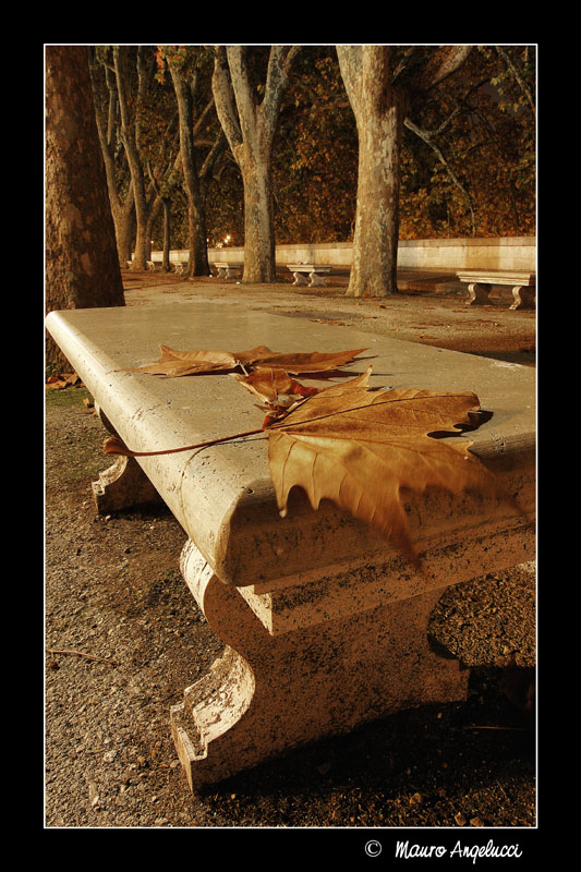 Autumn in Rome