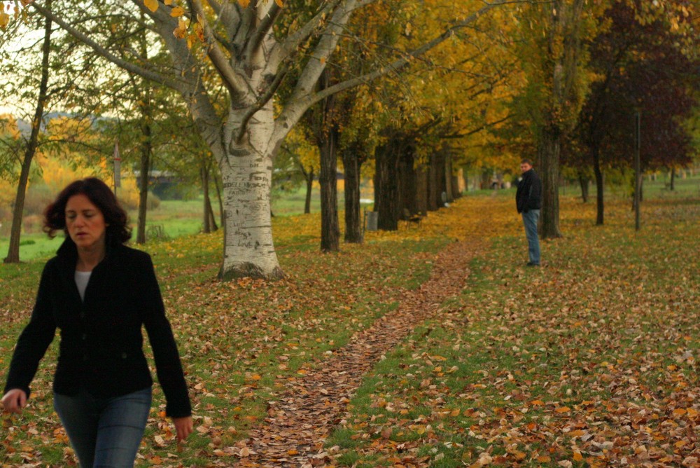 Autumn In San Giovanni Valdarno