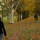 Autumn In San Giovanni Valdarno