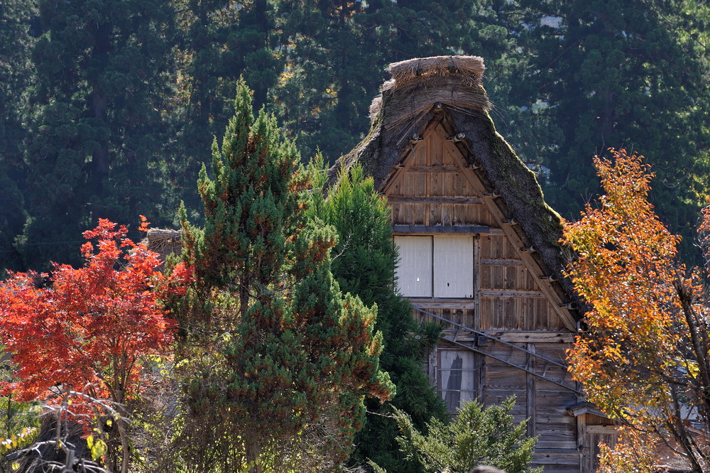 Autumn in Shirakawago