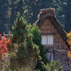 Autumn in Shirakawago