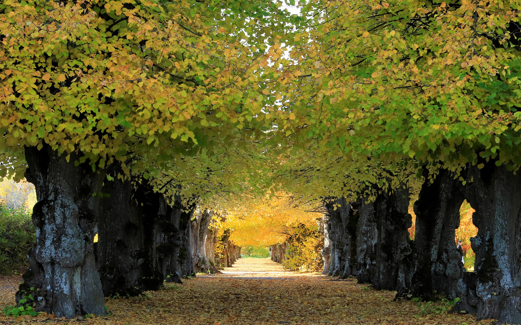 Autumn in Skokloster