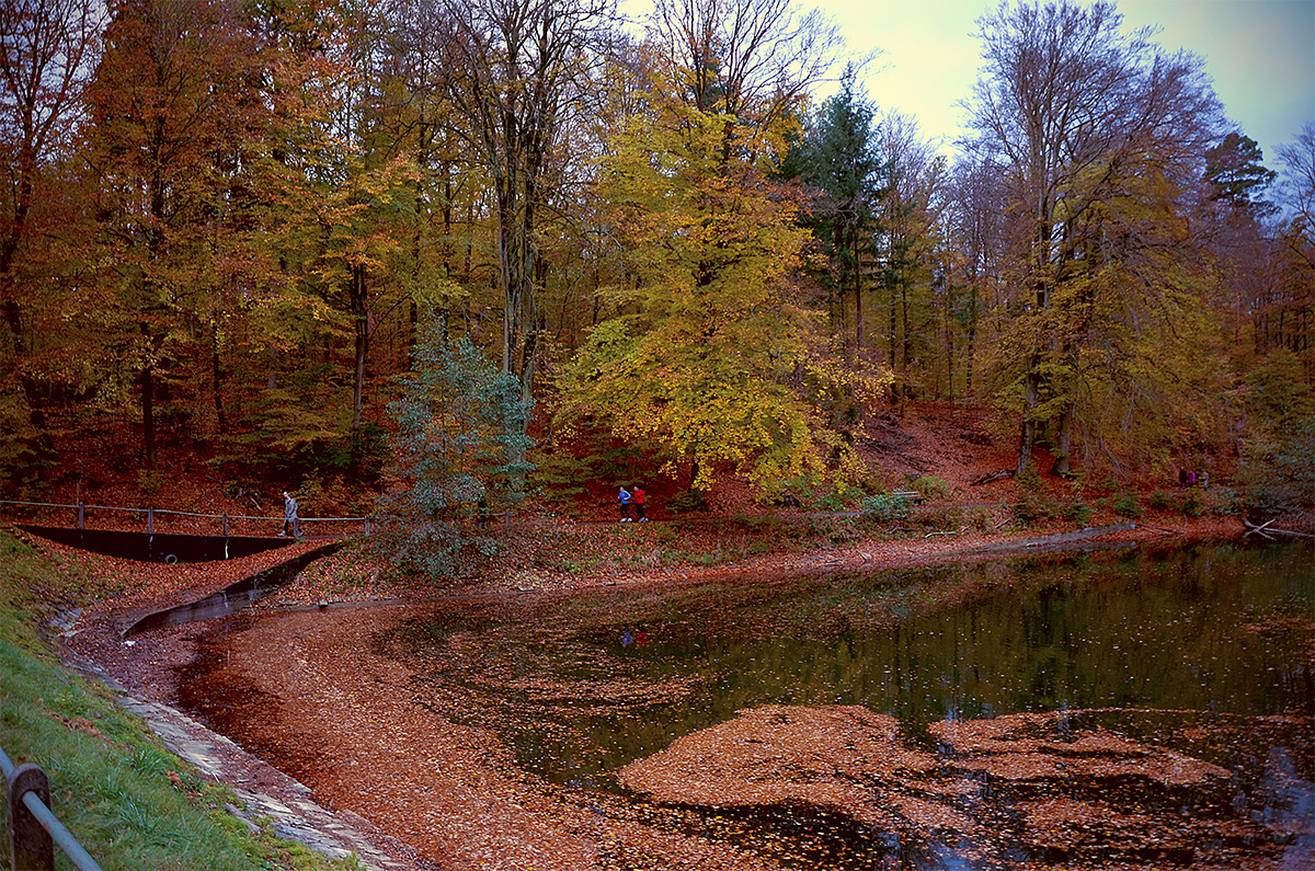 Autumn in Stuttgart