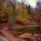 Autumn in Stuttgart