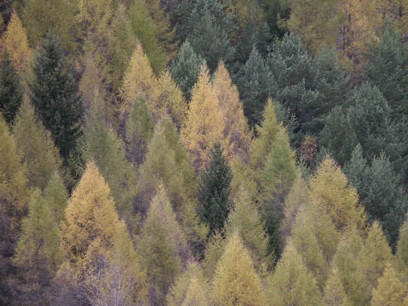 Autumn in Switzerland