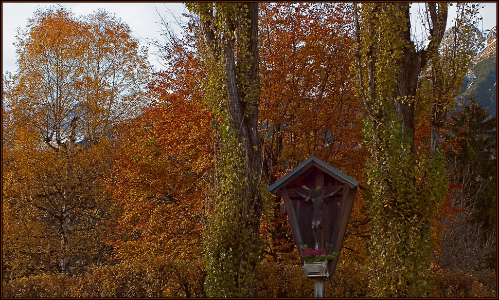 Autumn in the city 1