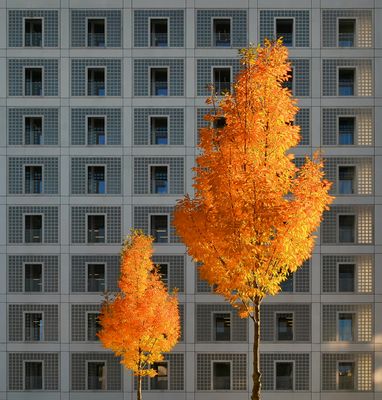 autumn in the city #1