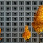 autumn in the city #2