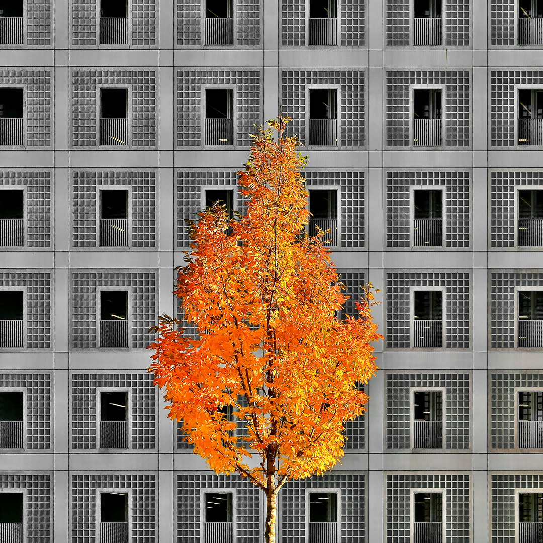 autumn in the city #3