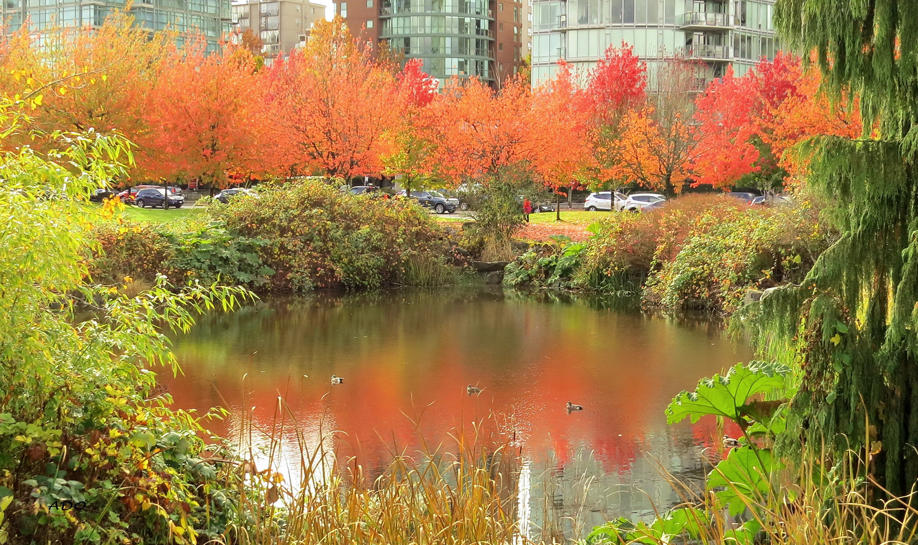 Autumn in the City