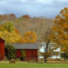 Autumn in the Country II