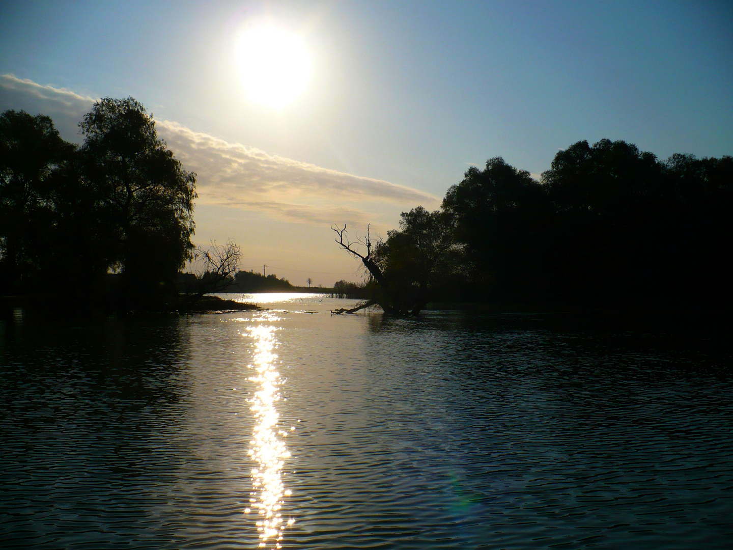 Autumn in the Danube Delta