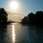 Autumn in the Danube Delta