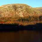 Autumn in the Lakes