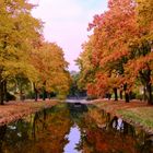 Autumn in the mirror