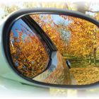 Autumn in the mirror