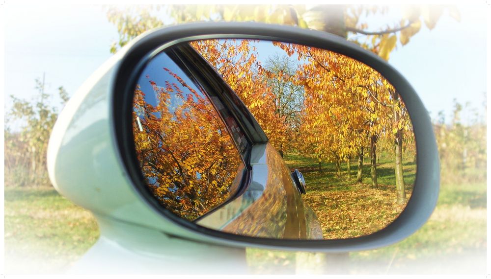 Autumn in the mirror