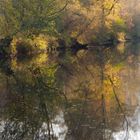 Autumn in the Mirror