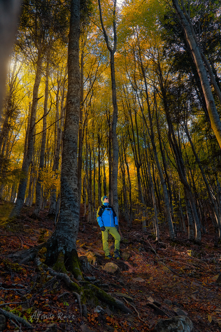 Autumn in the Montseny, Barcelona