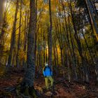 Autumn in the Montseny, Barcelona