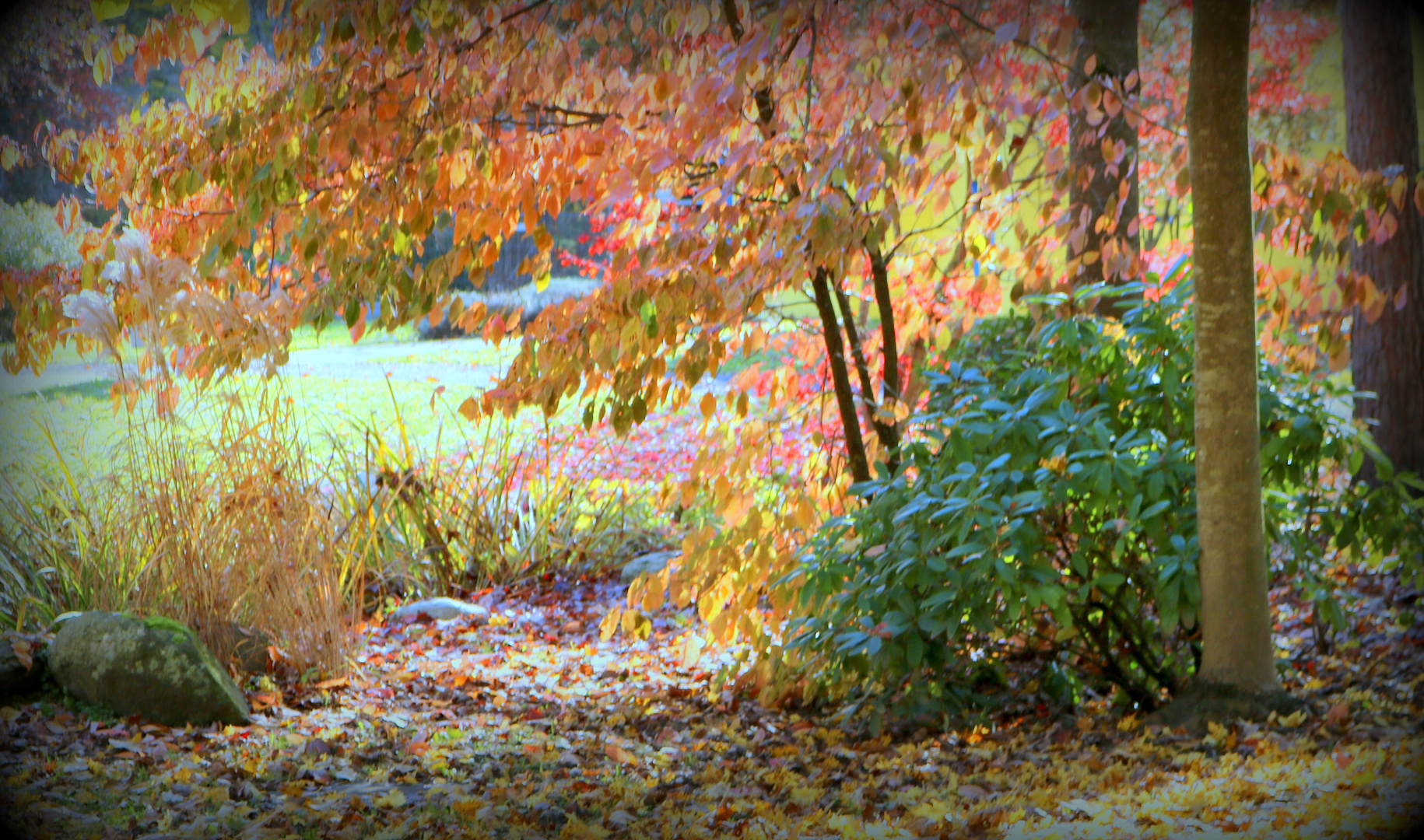 "AUTUMN IN THE PARK"