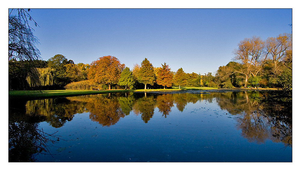 Autumn in the park...