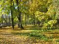 COM: autumn in the park von Vera M. Shulga 