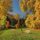 Autumn in the park