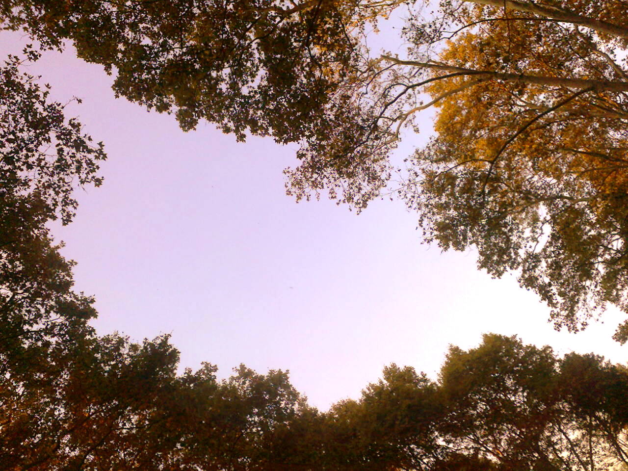 autumn in the sky..