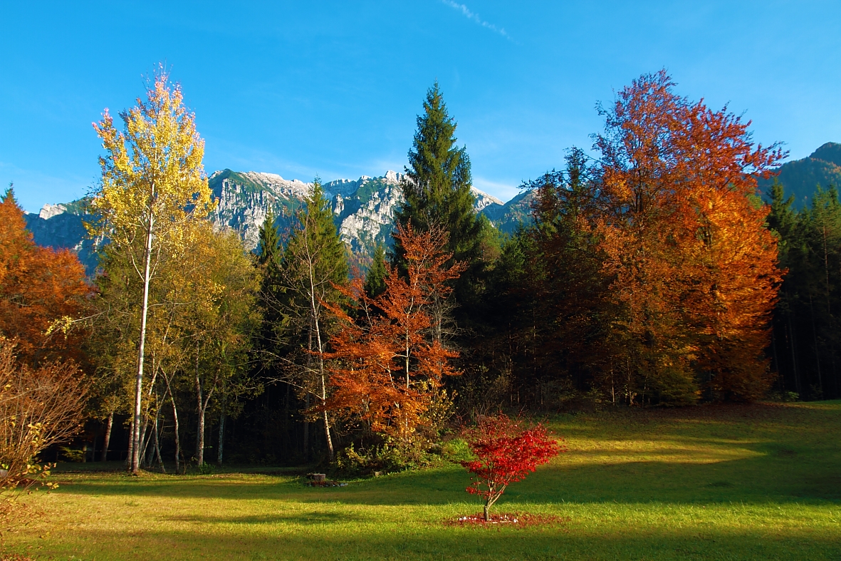 Autumn in the Val di Sella