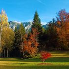 Autumn in the Val di Sella