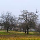 Autumn in the village