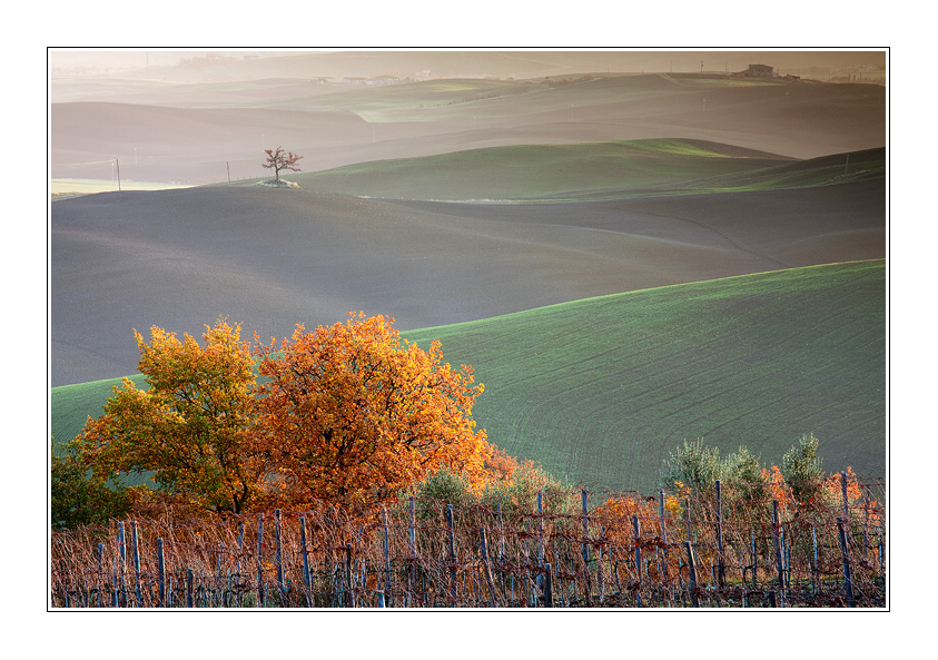 Autumn in Tuscany