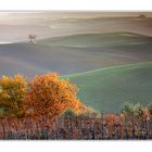Autumn in Tuscany